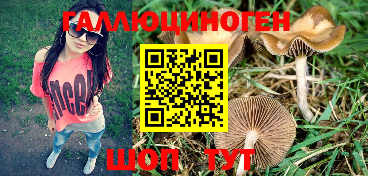 Торжок  Галлюциногенные грибы мицелий  Псилоцибиновые грибы Magic Shrooms  Вход с VPN 