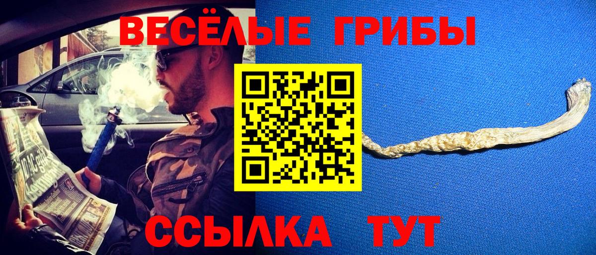 Псилоцибиновые грибы мухоморы Торжок